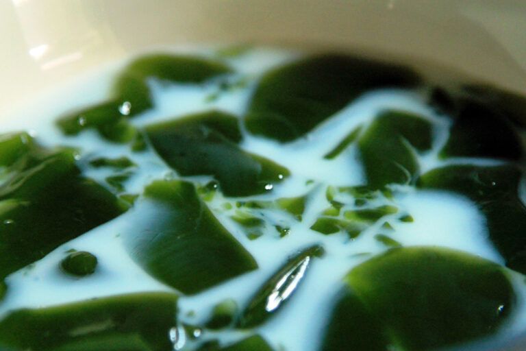 Supplier Cincau Kupang #1 Higienis & Berkhasiat • 0812 3022 2024 (Fauzi)